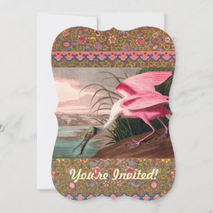 Roseate Spoonbill Audubon Bird Wildlife Inbjudningar