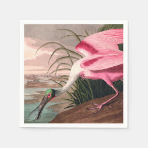 Roseate Spoonbill Audubon Bird Wildlife Pappersservett