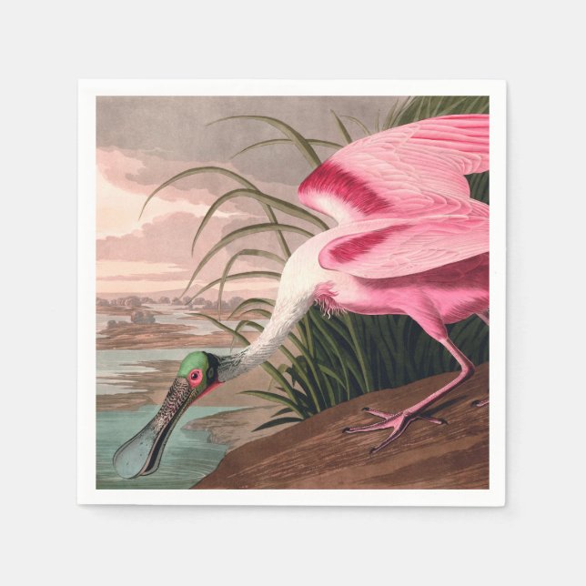 Roseate Spoonbill Audubon Bird Wildlife Pappersservett (Framsidan)