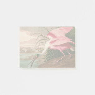 Roseate Spoonbill Audubon Bird Wildlife Post-it Block