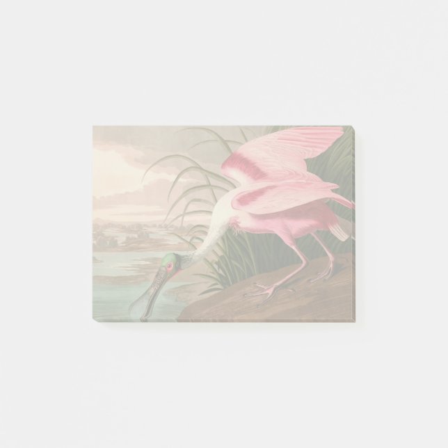 Roseate Spoonbill Audubon Bird Wildlife Post-it Block (Framsida)