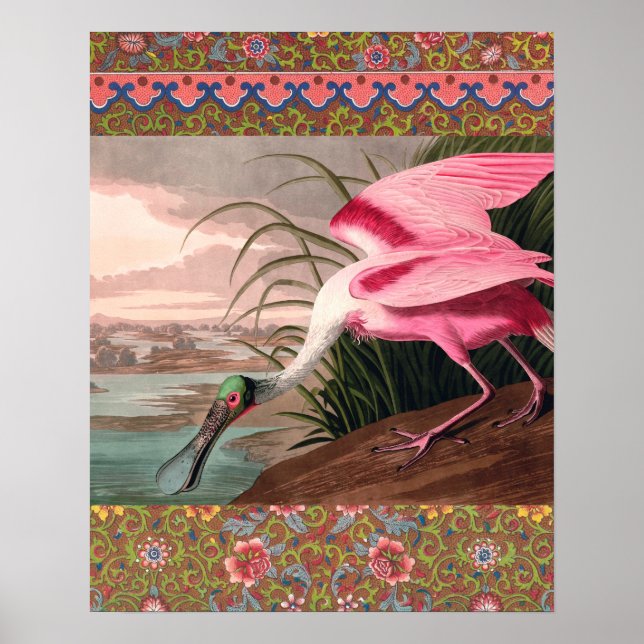 Roseate Spoonbill Audubon Bird Wildlife Poster (Framsidan)