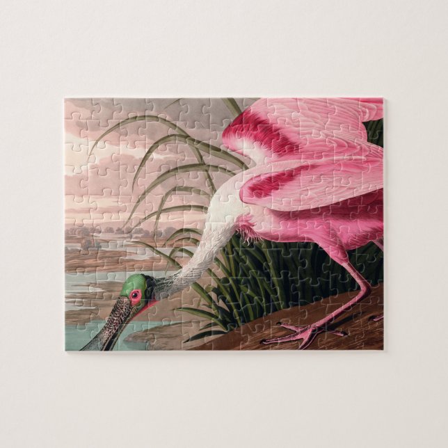 Roseate Spoonbill Audubon Bird Wildlife Pussel (Horisontell)