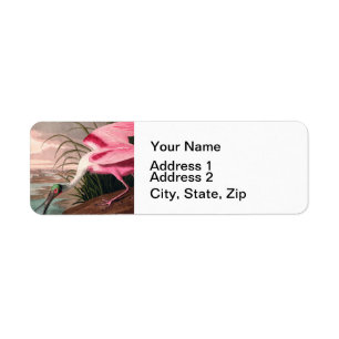 Roseate Spoonbill Audubon Bird Wildlife Returadress Etikett