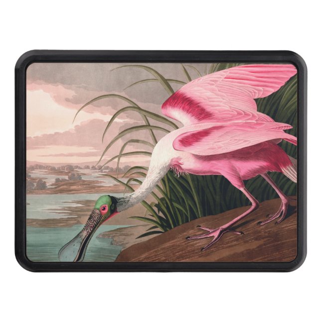 Roseate Spoonbill Audubon Bird Wildlife Skydd För Dragkrok (Framsidan)