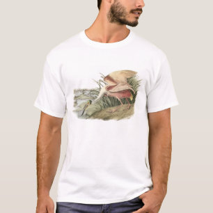 Roseate Spoonbill av Audubon Tee