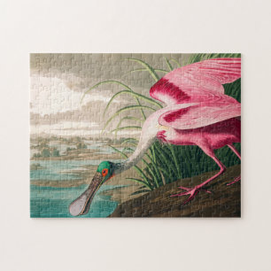 Roseate Spoonbill av John James Audubon Pussel