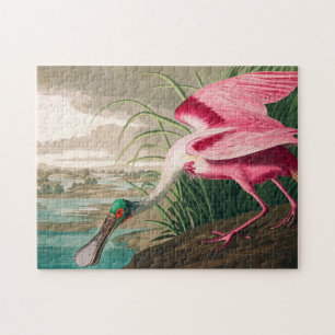 Roseate Spoonbill av John James Audubon Pussel