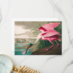 Roseate Spoonbill av John James Audubon Tack Kort