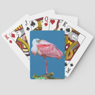 Roseate Spoonbill Bird Spelkort
