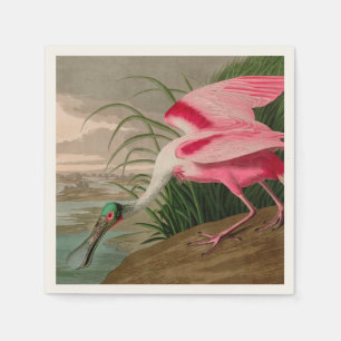 Roseate Spoonbill Birds of America Audubon Print Pappersservett