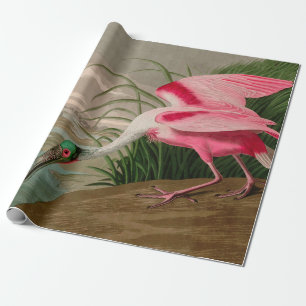 Roseate Spoonbill Birds of America Audubon Print Presentpapper