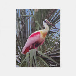 Roseate Spoonbill fleece filet