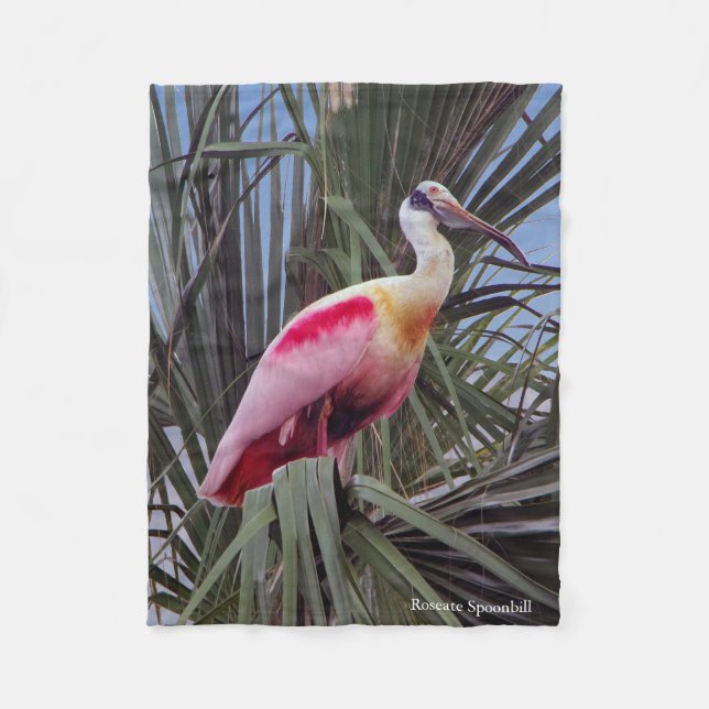 Roseate Spoonbill fleece filet (Framsidan)