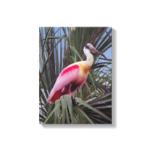 Roseate Spoonbill-kanvastryck