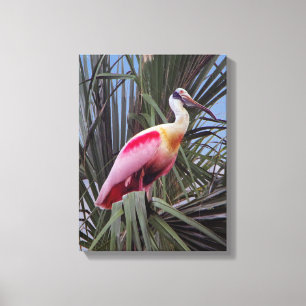 Roseate Spoonbill-kanvastryck Canvastryck