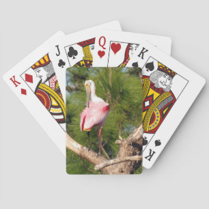Roseate Spoonbill-kort Kortlek