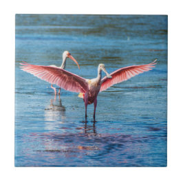 Roseate Spoonbill liten 4,25" x 4,25" fotoet Kakelplatta
