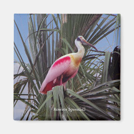 Roseate Spoonbill magnet