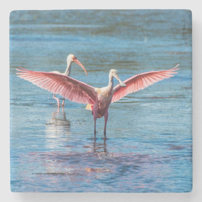 Roseate Spoonbill Marble Stone Underlägg (Framsidan)