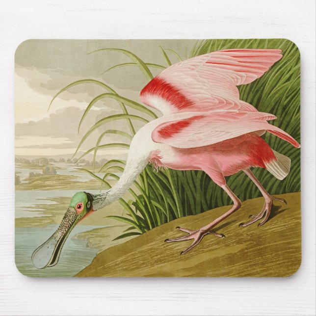 Roseate Spoonbill Mousepad Musmatta (Framsidan)