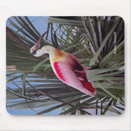 Roseate Spoonbill mousepad Musmatta