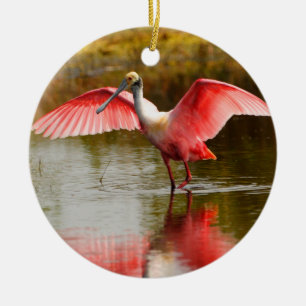 roseate spoonbill och reflexion julgransprydnad keramik