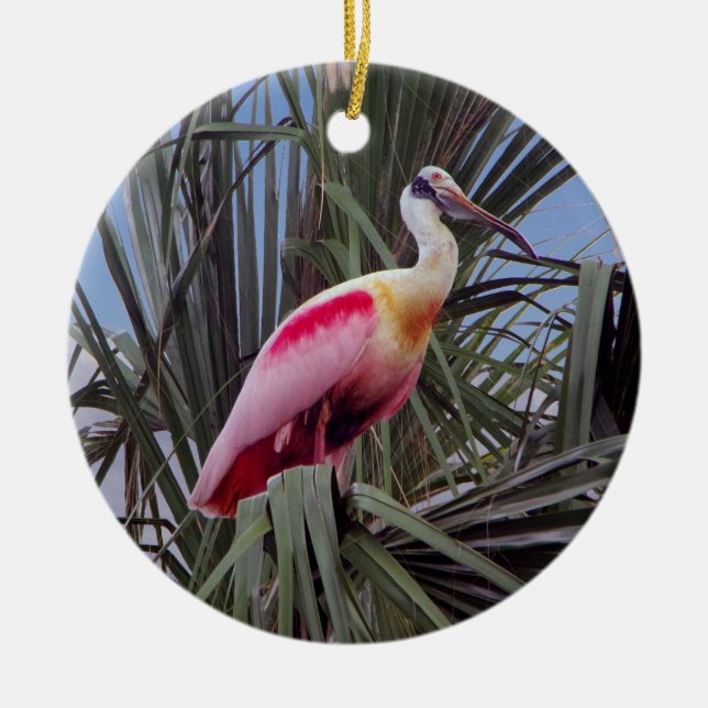 Roseate Spoonbill ornament (Framsidan)