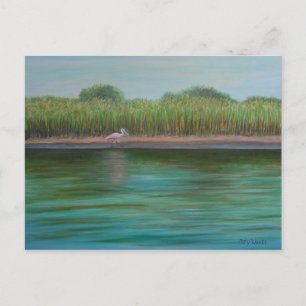 ROSEATE SPOONBILL PÅ vykortet ÖSTER BÄCK Vykort