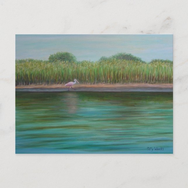 ROSEATE SPOONBILL PÅ vykortet ÖSTER BÄCK Vykort (Framsida)