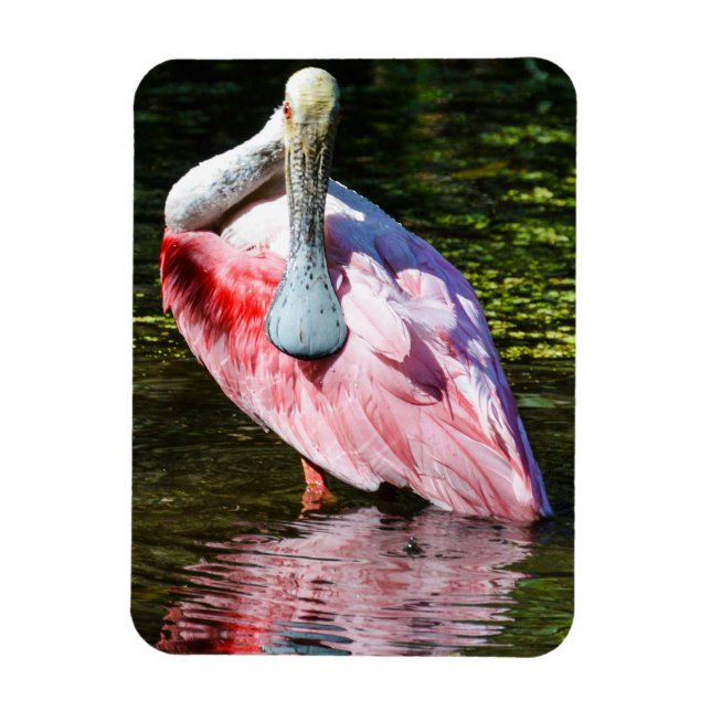 Roseate Spoonbill Puzzle Magnet (Vertikal)