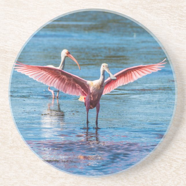 Roseate Spoonbill Sandstone Drink Underlägg (Framsidan)