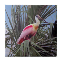 Roseate Spoonbill tile Kakelplatta