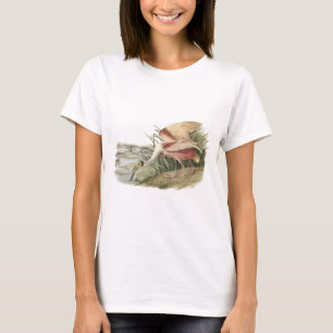 Roseate Spoonbill vid Audubon Tee