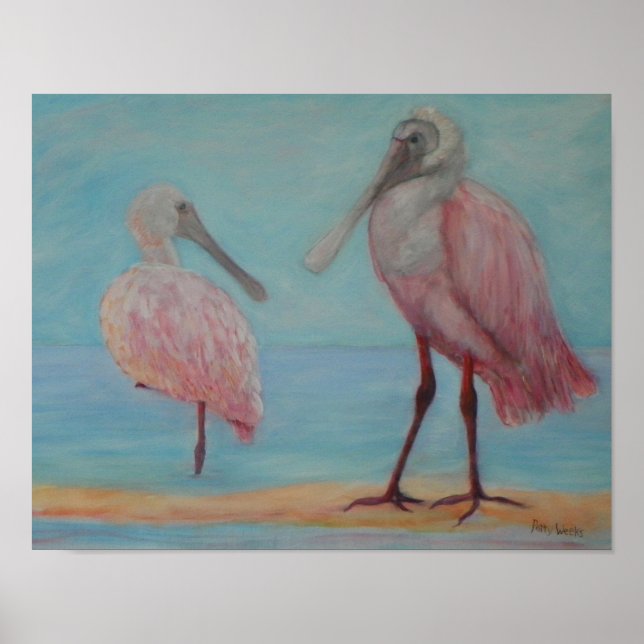 ROSEATE SPOONBILLS IN FLORIDA Poster (Framsidan)