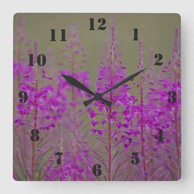 Rosebay Willowherb Clock Fyrkantig Klocka (Framsida)