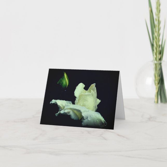 Rosebud Efter Regn Blommofotografering  Anteckningskort (Framsida)