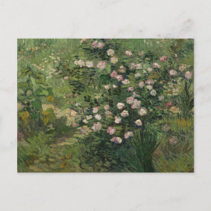 Rosebush i Blommar, Van Gogh Fine Art Vykort