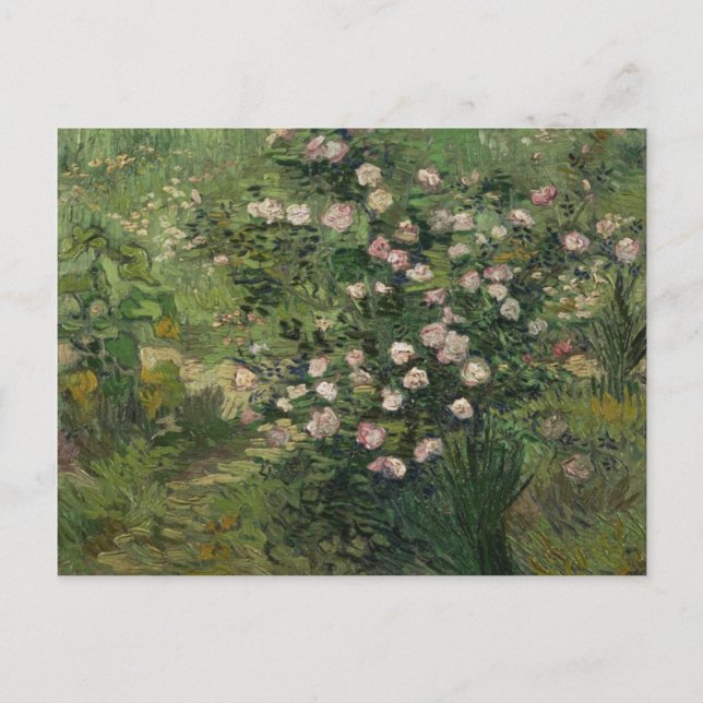 Rosebush i Blommar, Van Gogh Fine Art Vykort (Framsida)
