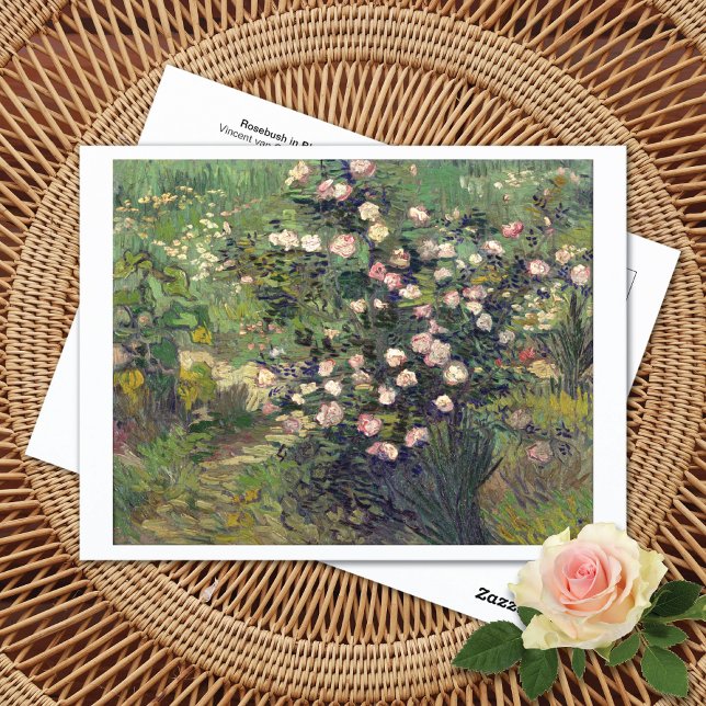 Rosebush i Blommar Vincent van Gogh Postcard Vykort (Skapare uppladdad)