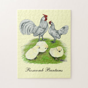 Rosecomb Bantam och kycklingar Pussel