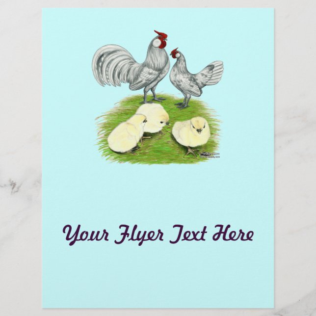 Rosecomb Bantam och kycklingar Reklamblad (Framsidan)
