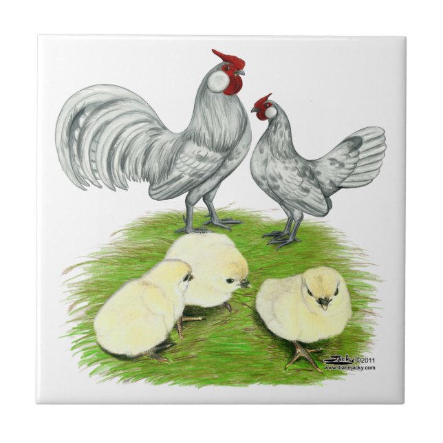 Rosecomb Bantams och Chickar Kakelplatta (Framsidan)