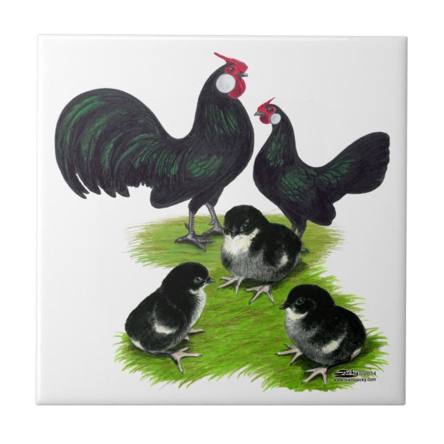 Rosecomb Black Bantam Family Kakelplatta (Framsidan)