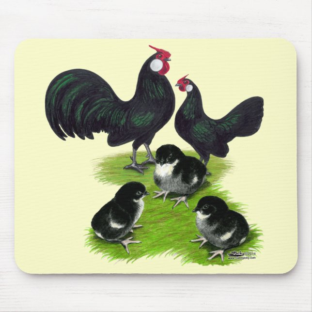 Rosecomb Svart Bantam Familj Musmatta (Framsidan)
