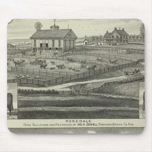 Rosedale, Robinson Hickory Grove, Kansas Musmatta (Framsidan)