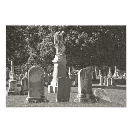 Rosehill III Fototryck