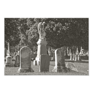 Rosehill III Fototryck