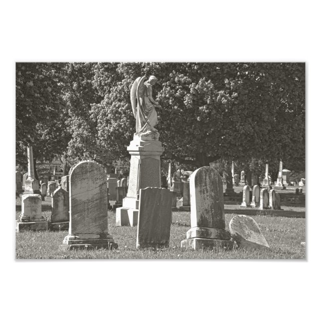 Rosehill III Fototryck (Framsidan)