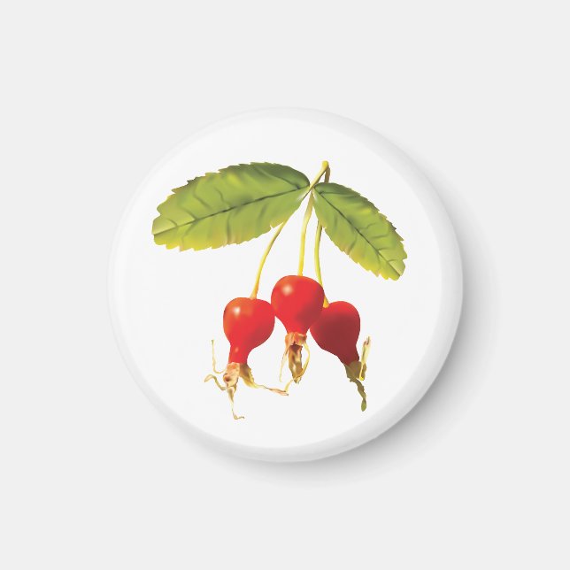 Rosehips Mönster 3 Magnet (Framsidan)
